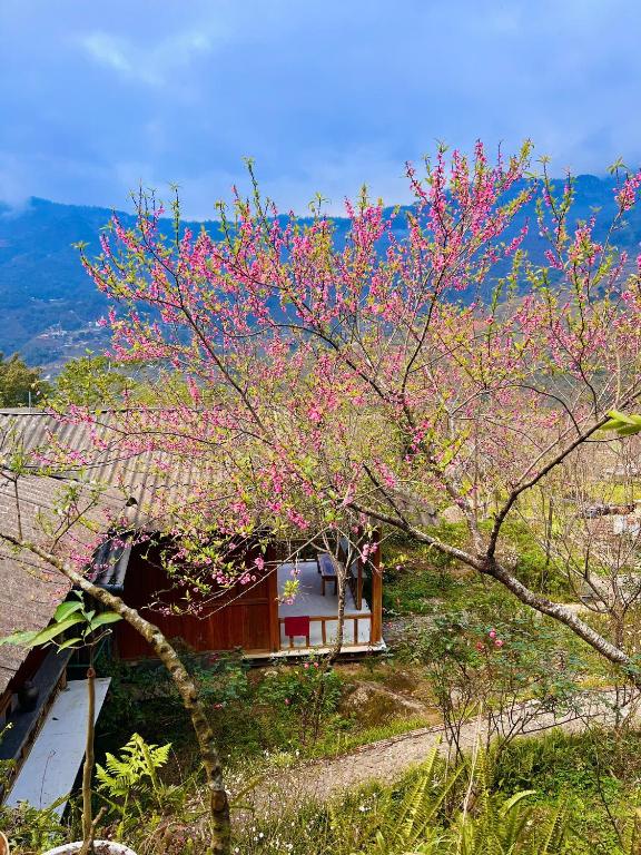 Tao Tay House - Ta Van – Sa Pa